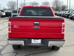 2009 Ford F-150 XLT