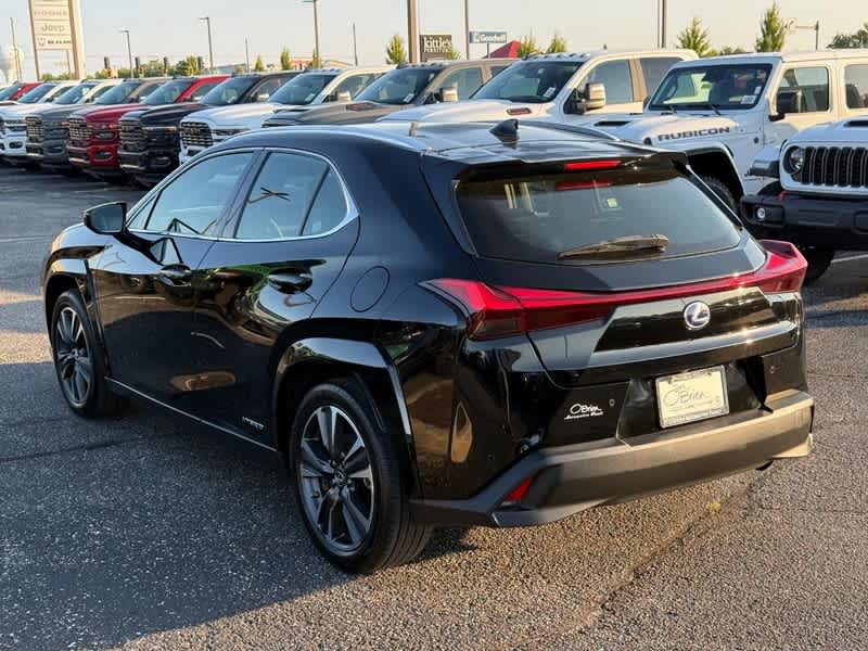 2022 Lexus UX 250h 