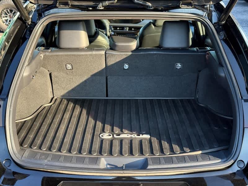 2022 Lexus UX 250h 