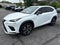 2019 Lexus NX 300 F SPORT