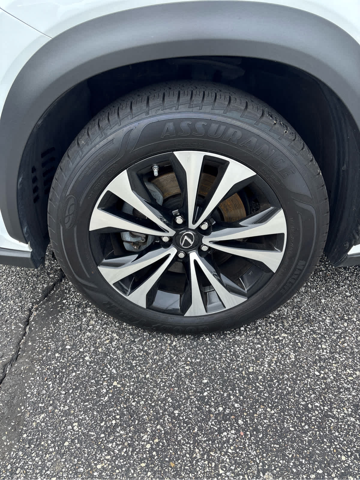 2019 Lexus NX 300 F SPORT