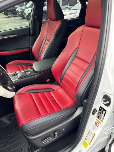 2019 Lexus NX 300 F SPORT