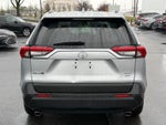 2025 Toyota RAV4 XLE AWD
