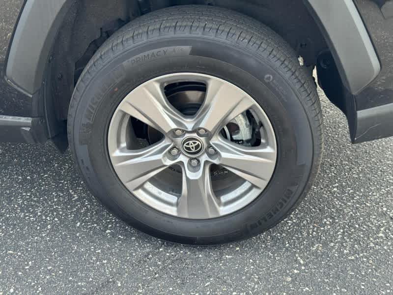 2025 Toyota RAV4 XLE AWD