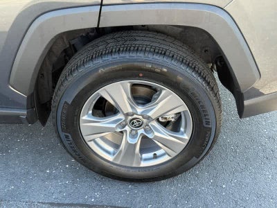 2025 Toyota RAV4 XLE AWD