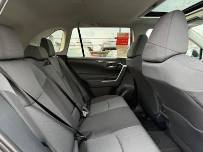 2025 Toyota RAV4 XLE AWD