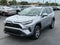 2025 Toyota RAV4 XLE AWD
