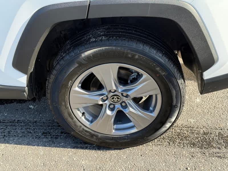 2025 Toyota RAV4 XLE AWD