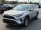 2025 Toyota RAV4 XLE AWD