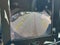 2022 Volvo C40 Recharge Pure Electric P8 eAWD Ultimate